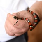 Foto: Zoocriaderos impulsan exportaciones de fauna en Nicaragua/Cortesía