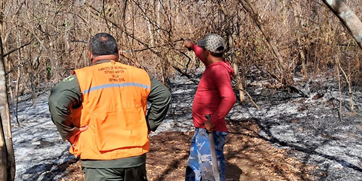 Foto: Ejército de Nicaragua sofoca incendio forestal en Posoltega/Cortesía