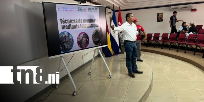 Foto: Tapir en peligro: UNAN-Managua entrena a futuros biólogos/TN8