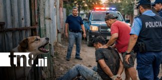 Foto: Perro alerta y frustra robo en Estelí/TN8
