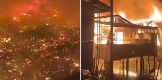 Foto:  Infernal incendio en Malasia /Cortesía