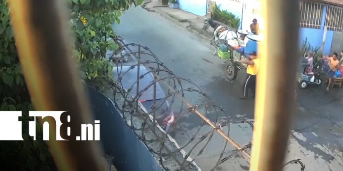 Foto: Mujer resulta herida tras ser atropellada en Managua/TN8