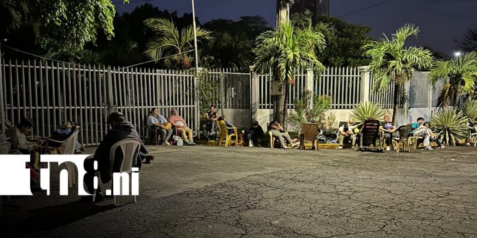 3 Foto: ¡Desde la madrugada! Largas filas rodean el Olof Palme por la Feria Nacional de la Vivienda/TN8