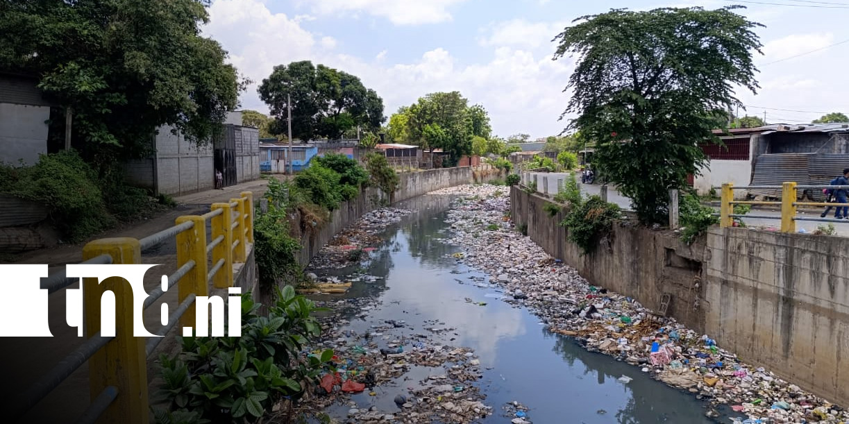 Foto: El impacto de la basura en Managua /TN8