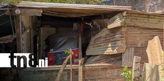 Foto: Caponera sin frenos se estrella contra vivienda en Managua/TN8