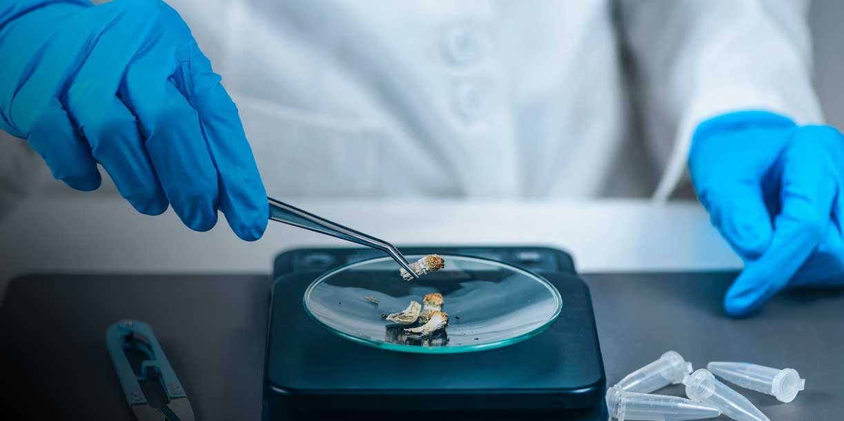 Foto: La FDA sorprende: acelera terapias con psicodélicos/Cortesía