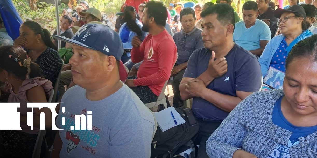 Foto: Agricultura: Ometepe fortalece ciclo productivo 2026/TN8