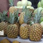 Foto: Ventas de frutas aumentan en el mercado Roberto Huembes/TN8