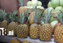 Foto: Ventas de frutas aumentan en el mercado Roberto Huembes/TN8
