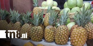 Foto: Ventas de frutas aumentan en el mercado Roberto Huembes/TN8