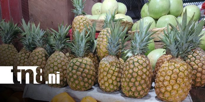 Foto: Ventas de frutas aumentan en el mercado Roberto Huembes/TN8