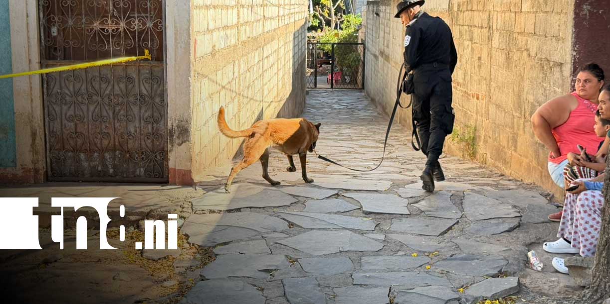 Foto: Prisión preventiva en Granada/ TN8
