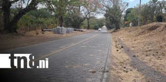 Foto: Ometepe: moto choca con caballo y deja heridos/ TN8