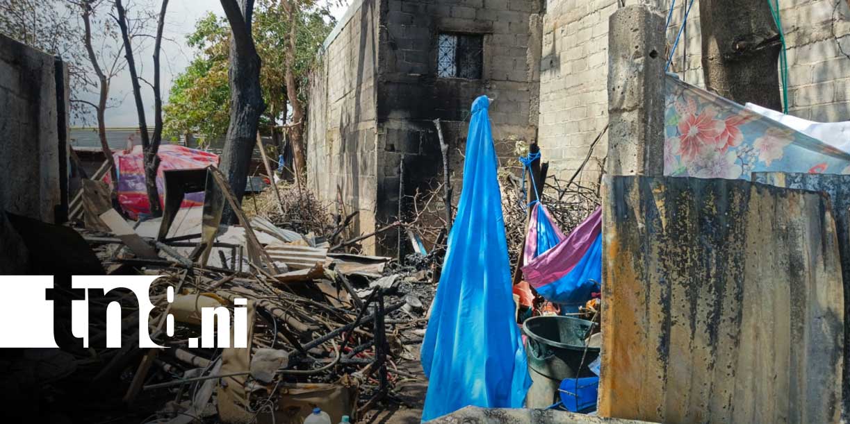 Foto: Dos perritos mueren en incendio de Lomas Chico Pelón/ TN8