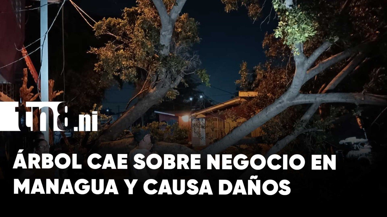 Foto: sucesos que definieron la semana/TN8
