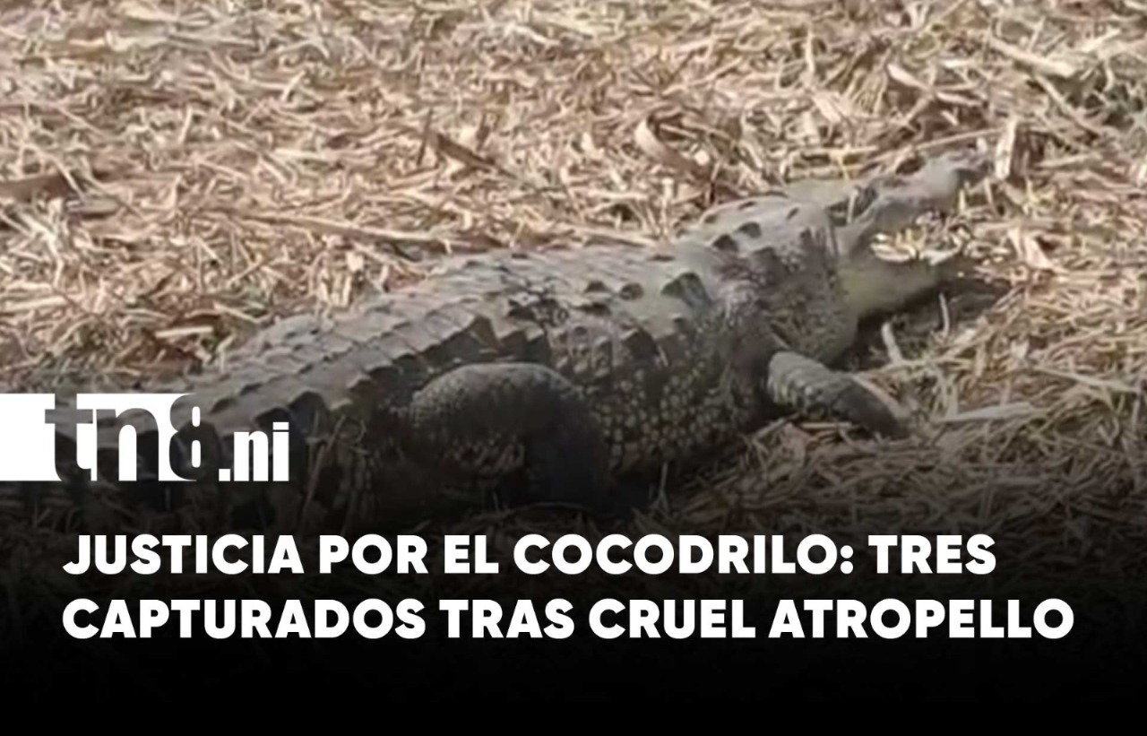 Foto: sucesos que definieron la semana/TN8