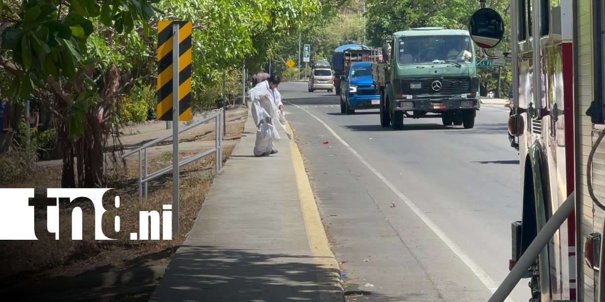 Foto: Ataque de abejas en Chontales/ TN8