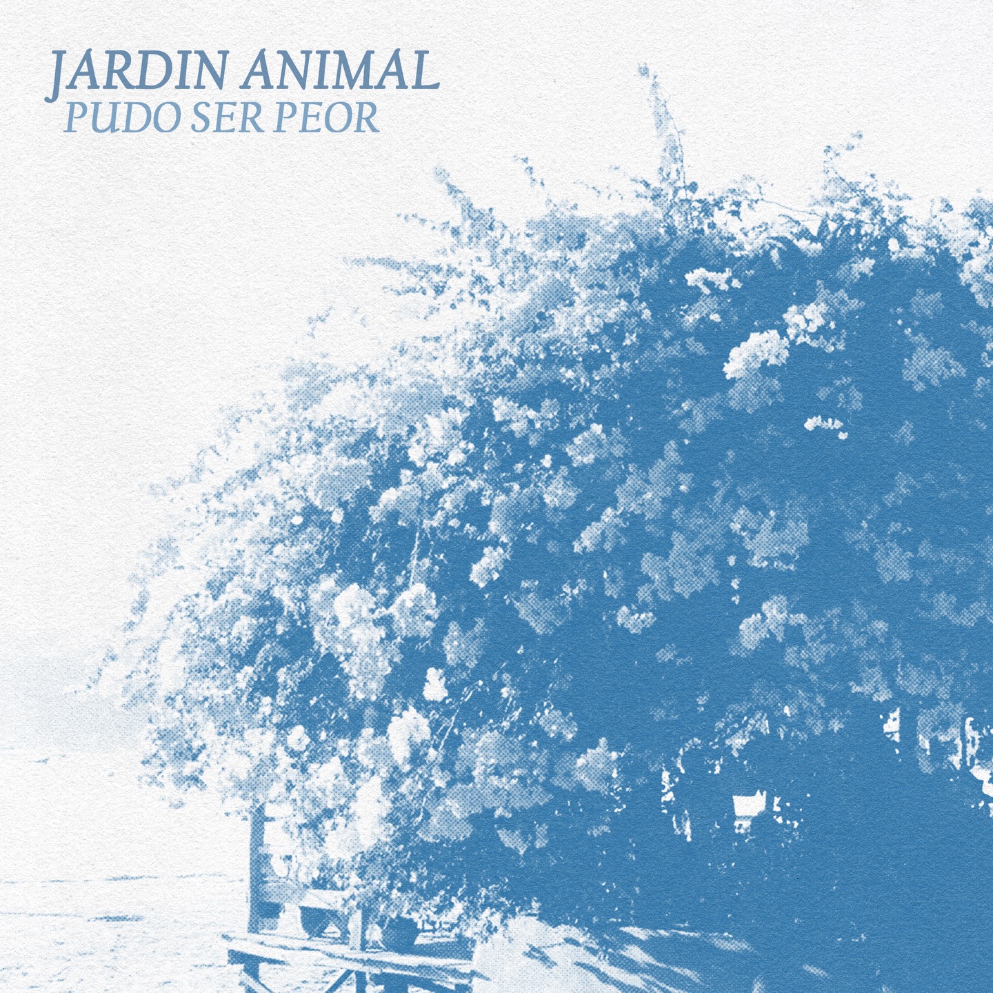 Foto: Jardín Animal, banda de punk en Nicaragua