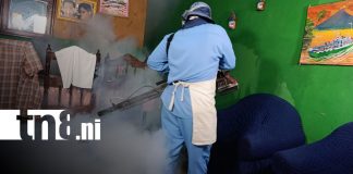 Foto:cuarta jornada antiepidémica en la capital de Managua/TN8