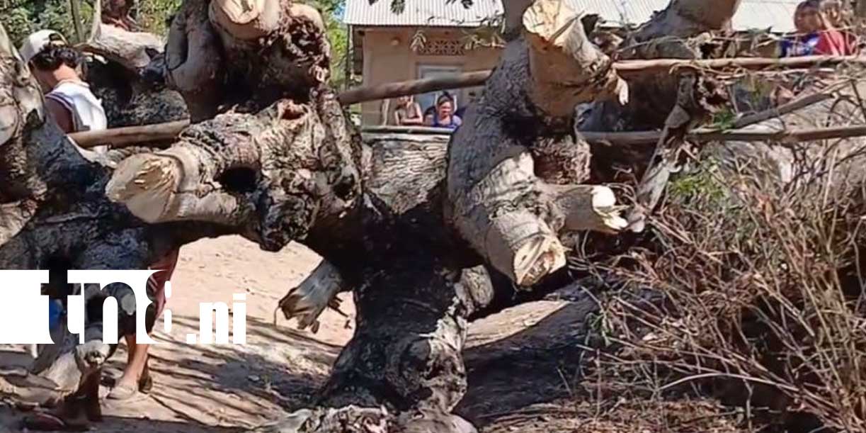 Foto: Accidente laboral cobra la vida de un hombre en Niquinohomo/TN8