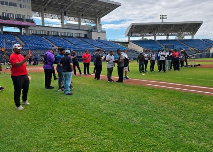 mlb, grandes, ligas, scouting
