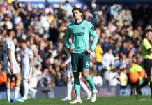 Wolverhampton consuma su descenso en la Premier League Wolverhampton, premier, league,