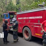 Familias viven momentos de terror por ataque de abejas en Jocote Dulce Foto: Ataque de abejas africanizadas en Managua / TN8
