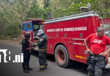 Familias viven momentos de terror por ataque de abejas en Jocote Dulce Foto: Ataque de abejas africanizadas en Managua / TN8
