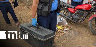 Foto: Osamenta en un predio de Las Jagüitas, Managua / TN8