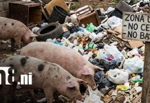 En La Trinidad, quemar basura o talar árboles te puede costar hasta C$ 10,000