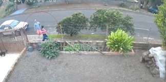 Foto: Joven de Brasil es apuñalada mientras cargaba a su bebé /Cortesía