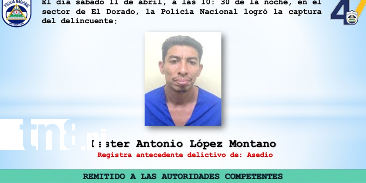 Foto: Policía Nacional reporta tres casos relevantes /TN8