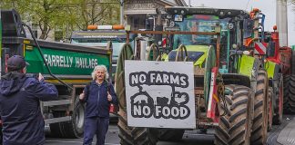 Foto: Bloqueos por combustible desatan caos Irlanda/Cortesía