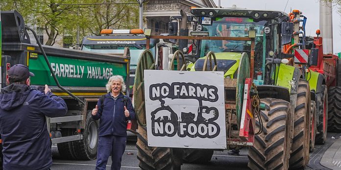 Foto: Bloqueos por combustible desatan caos Irlanda/Cortesía