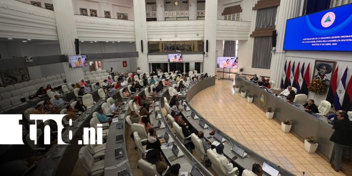 Foto: Sesión parlamentaria en la Asamblea Nacional de Nicaragua / TN8 Foto: Sesión parlamentaria en la Asamblea Nacional de Nicaragua / TN8