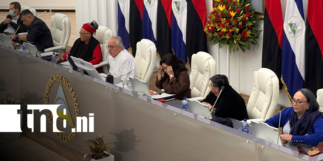 Foto: Sesión parlamentaria en la Asamblea Nacional de Nicaragua / TN8