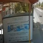 Foto:Perro provoca caída de motorizado en Chinandega/TN8