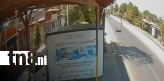 Foto:Perro provoca caída de motorizado en Chinandega/TN8
