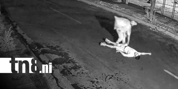 Foto: Violento robo en Las Palmas, Managua / TN8