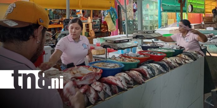 Foto: Natalia y su exitoso puestos de mariscos en el Mercado Israel Lewites / TN8 Foto: Natalia y su exitoso puestos de mariscos en el Mercado Israel Lewites / TN8