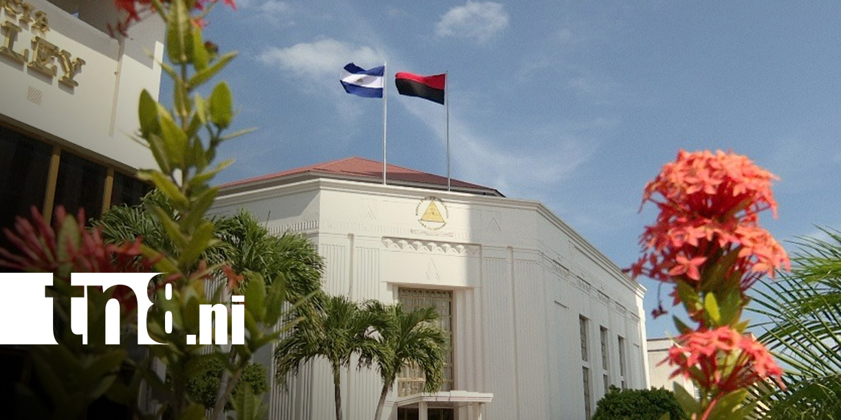 Foto: Análisis de la relevancia de la paz en Nicaragua / TN8