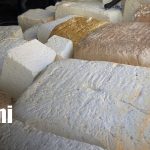 ¡Bajó el queso! Buenas nuevas con los precios de la canasta básica Foto: Baja el precio del queso en mercados