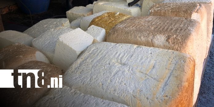Foto: Baja el precio del queso en mercados Foto: Baja el precio del queso en mercados