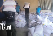 Segunda entrega de merienda escolar beneficia a 30 mil estudiantes en Estelí Foto: Merienda escolar para colegios en Estelí / TN8