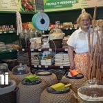 Sueños hechos realidad: nace Migdalia’s Market, una semilla sembrada hace 40 años Foto: Doña Migdalia y su Migdalia's Market en Nicaragua / TN8