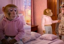 Foto: Monalía, la nueva novela del TikTok