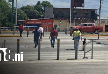 Foto: La seguridad vial también involucra a peatones en Nicaragua / TN8