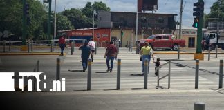 Foto: La seguridad vial también involucra a peatones en Nicaragua / TN8