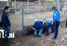 Con la pierna casi cercenada tras violento accidente en Villa El Carmen Foto: Accidente de tránsito en Villa El Carmen, Managua / TN8