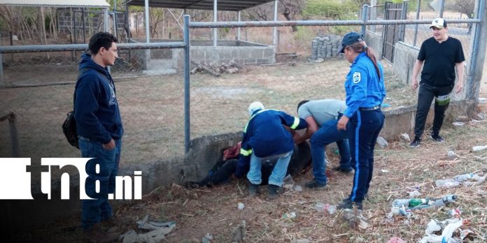 Foto: Accidente de tránsito en Villa El Carmen, Managua / TN8